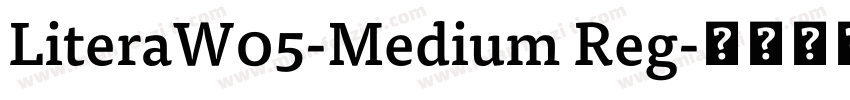 LiteraW05-Medium Reg字体转换